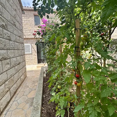 Rose Apartament